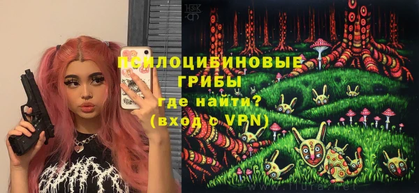 ПСИЛОЦИБИНОВЫЕ ГРИБЫ Абаза