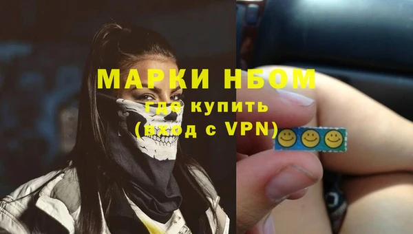 ПСИЛОЦИБИНОВЫЕ ГРИБЫ Абаза