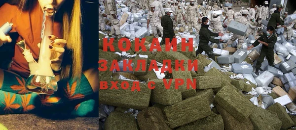 ПСИЛОЦИБИНОВЫЕ ГРИБЫ Абаза