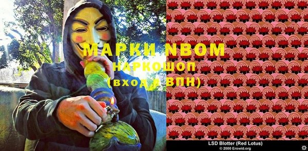 ПСИЛОЦИБИНОВЫЕ ГРИБЫ Абаза