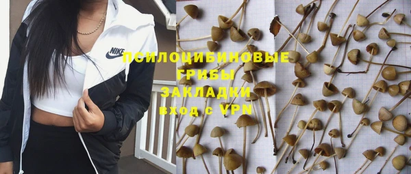 гашик Абинск