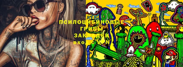 гашик Абинск