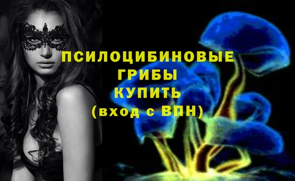 ПСИЛОЦИБИНОВЫЕ ГРИБЫ Абаза