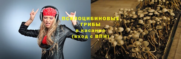 гашик Абинск