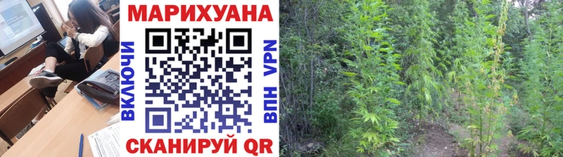 Бошки Шишки индика  купить наркотик  Сычёвка 